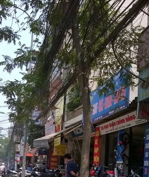Dọn “rác trời” tại Hà Nội ảnh 3